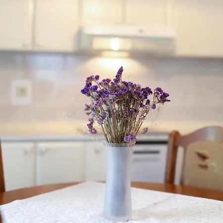 Dunja Apartman Jadranovo